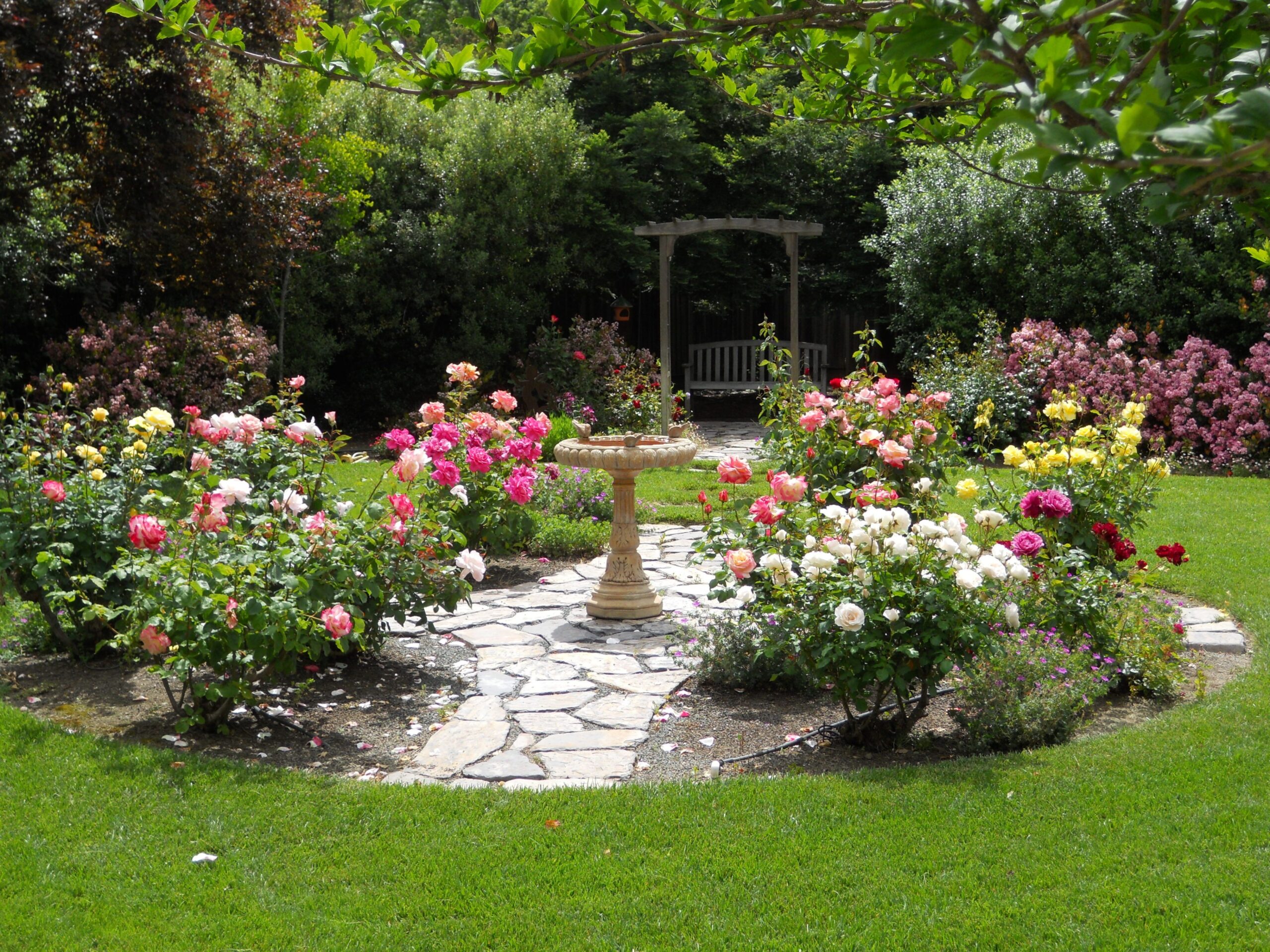 backyard rose garden designs Bulan 5 Backyard Rose Garden  Rose garden design, Garden design layout