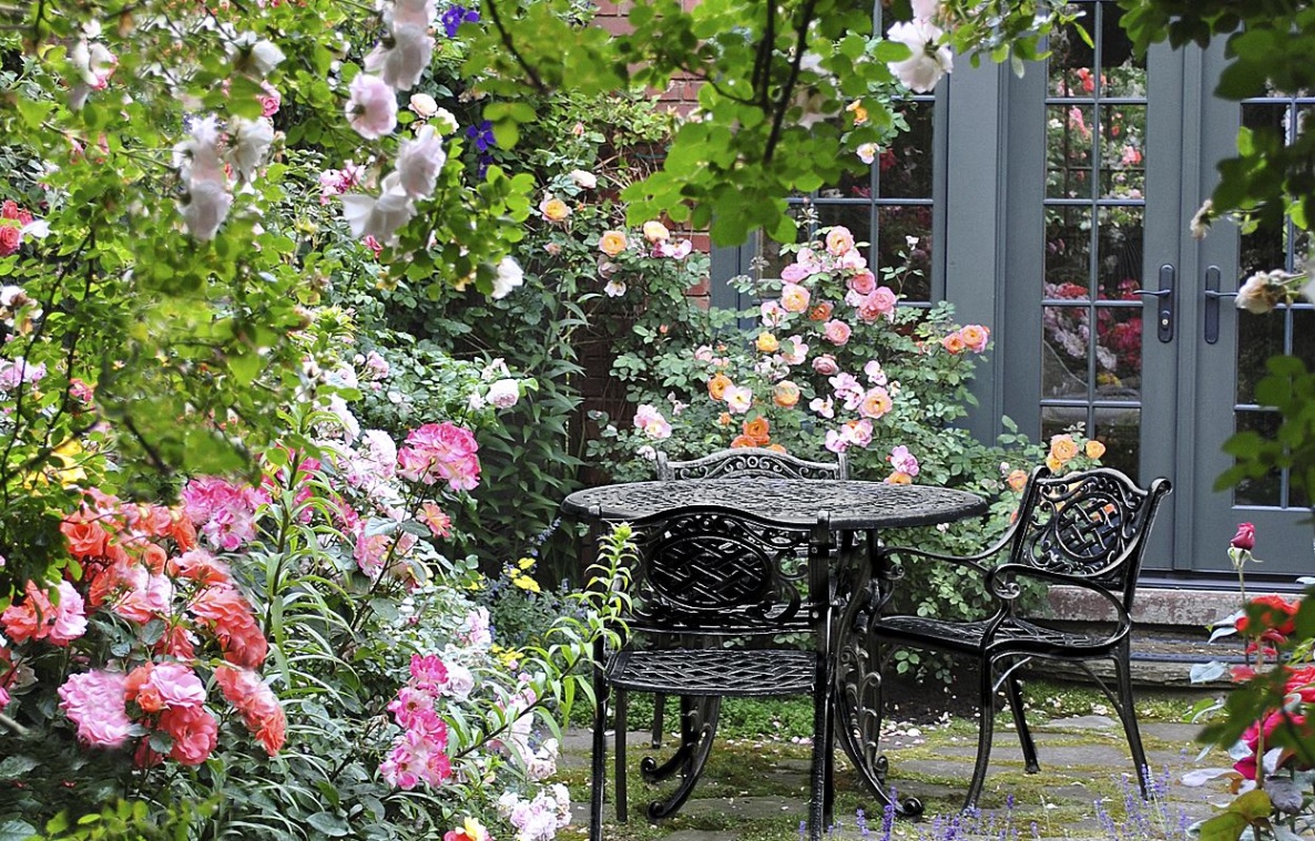 backyard rose garden designs Bulan 5 From Blah Lawn to Backyard Rose Garden Paradise - This Old House