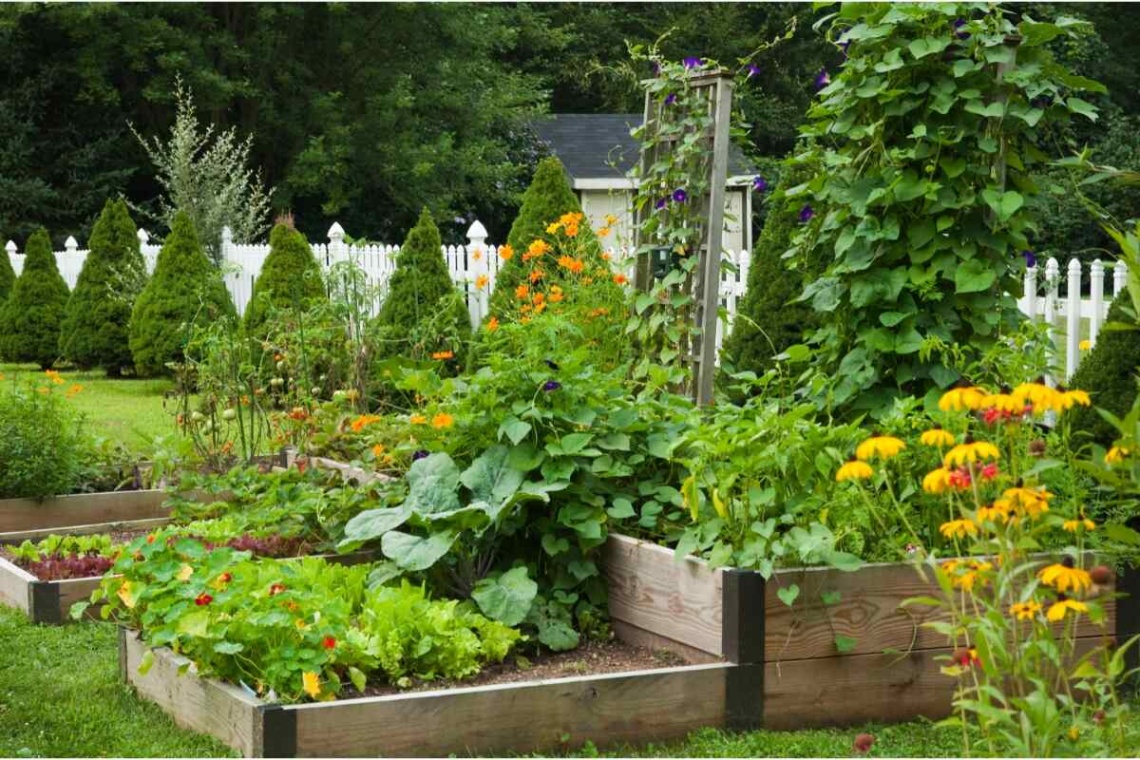 backyard vegetable garden design Bulan 5 lawnlove