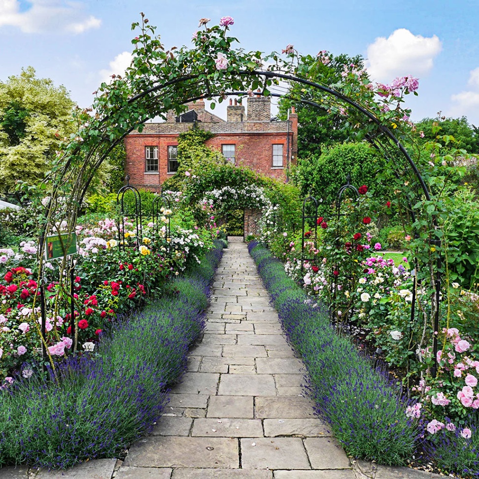 backyard rose garden designs Bulan 5 Rose Garden Ideas: How to Design Inspiring Gardens  Agriframes USA