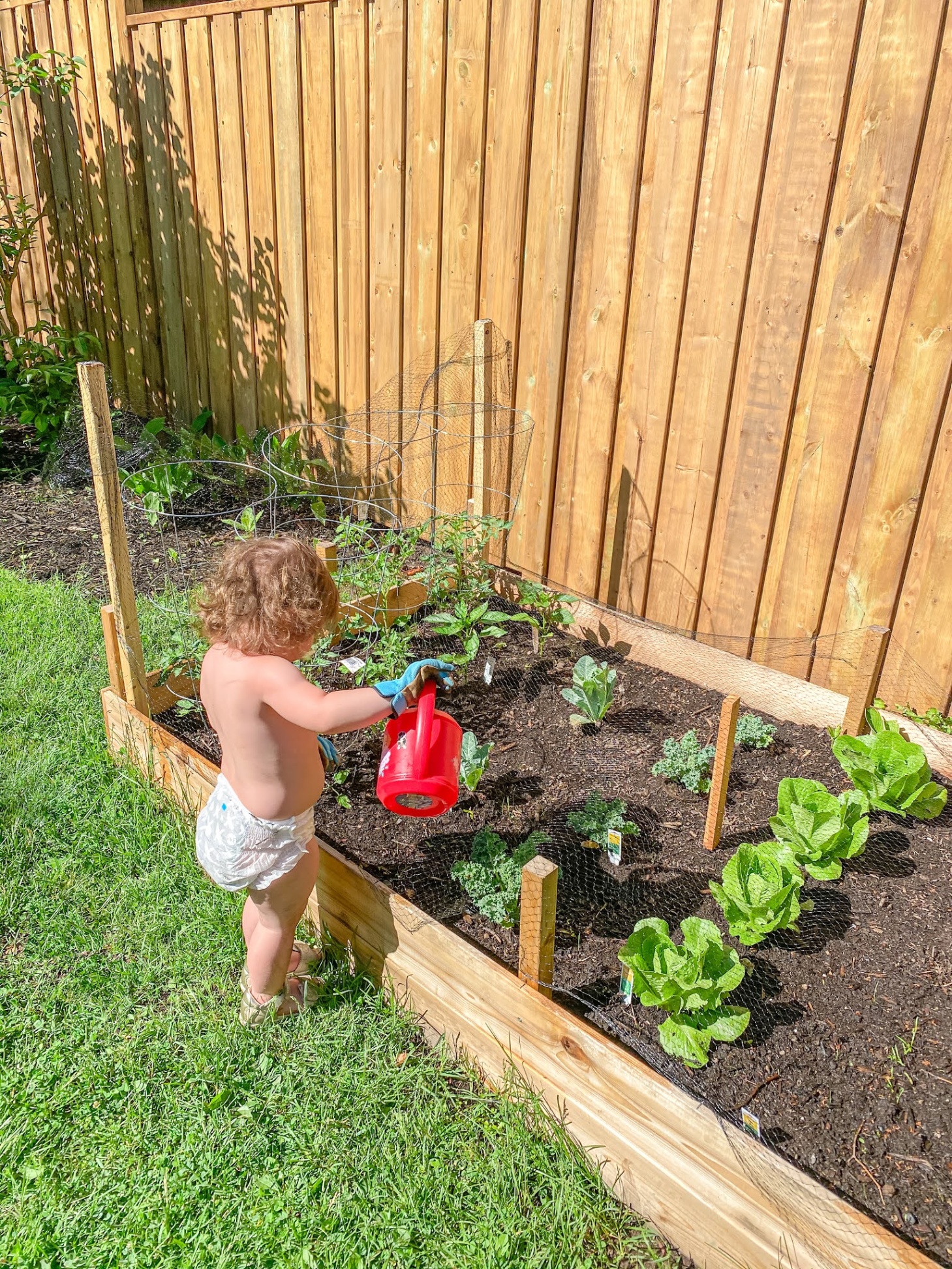 backyard vegetable garden design Bulan 5 Tips & Tricks Learned From Our First Backyard Vegetable Garden